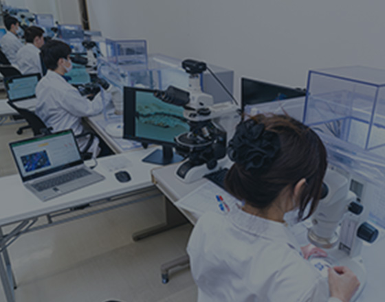 アスベスト(石綿)分析