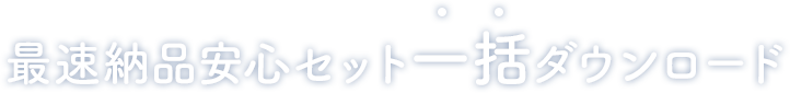 最速納品安心セット一括ダウンロード